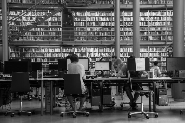Bourses d’Excellence pour Étudiants en Doctorat : Guide Complet 2025